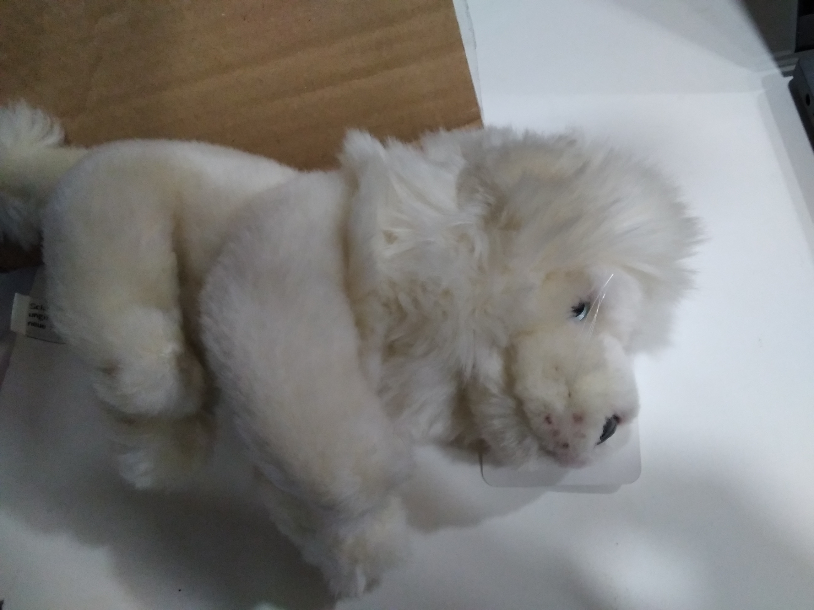 Mīkstā rotaļlieta - Sniega leoparda mazulis, 27cm ar asti