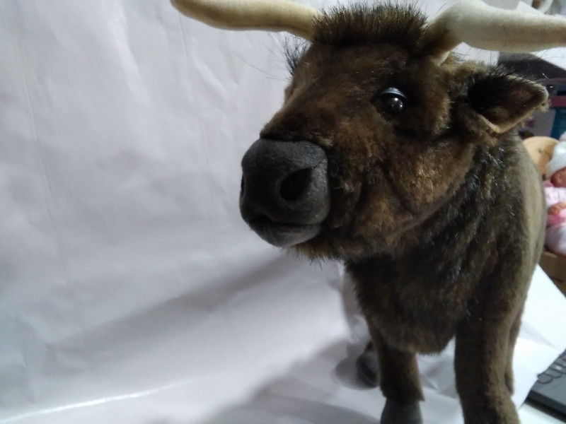 Mīkstā rotaļlieta - Vaca / bullis apm.35 cm garumā