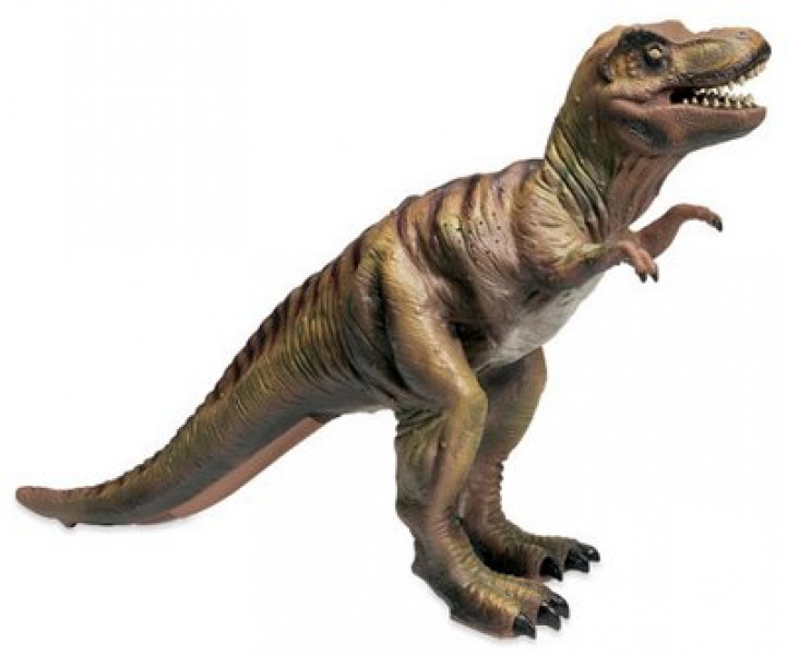 Dinozaurs T-Rex 36662 no dabīgiem materiāliem