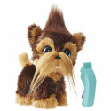 Hasbro Fur Real Shaggy Shawn kucēns ar matu cērpjamo mašīnīti 4+