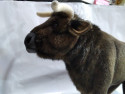 Mīkstā rotaļlieta - Vaca / bullis apm.35 cm garumā